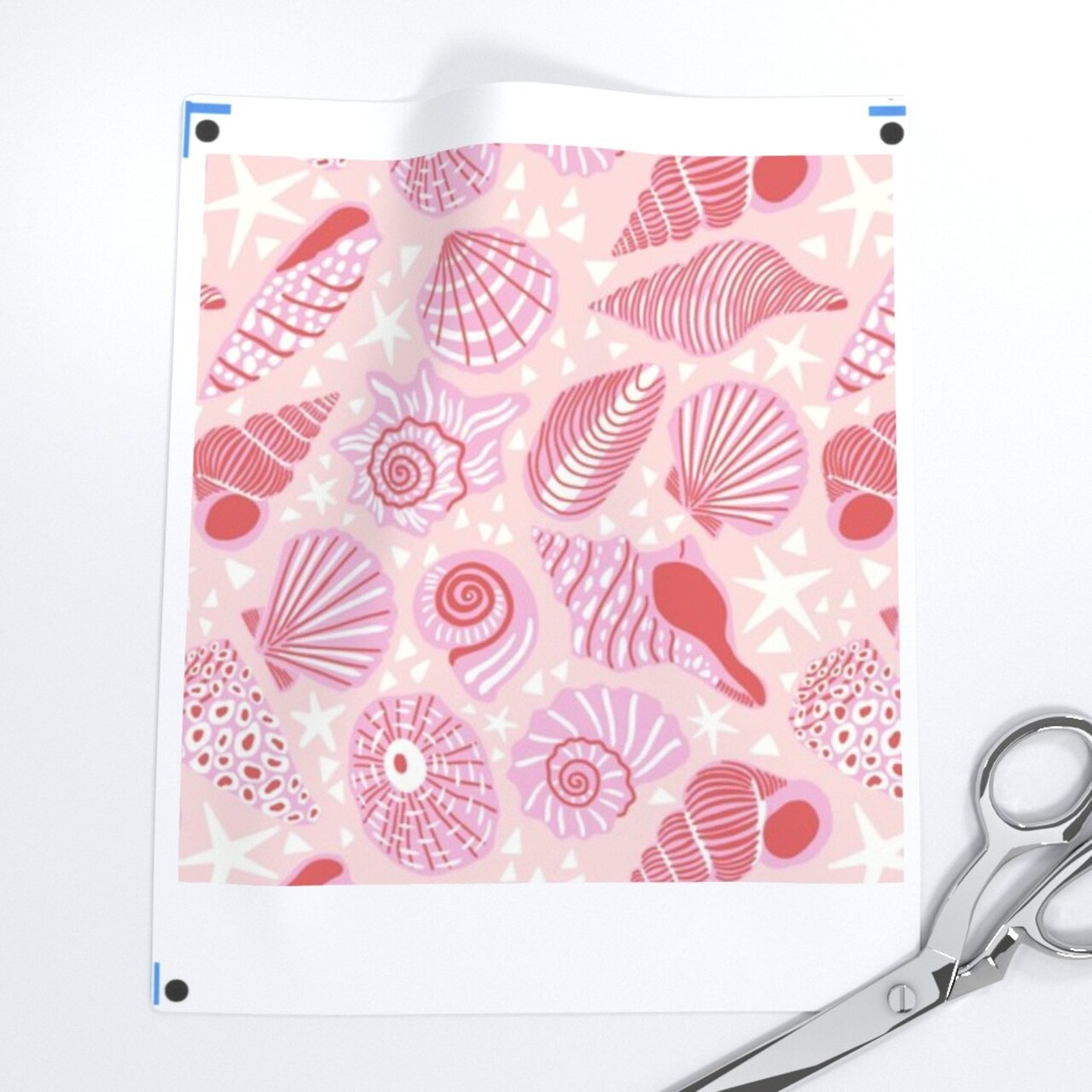 Coastal Shells Blush Pink Beach Summer Nautical Maritime Medium Scale Custom Printed Fabric by Spoonflower Various Fabrics by the Yard or Fat Quarter